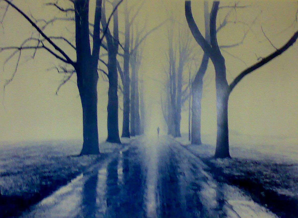 Kış Ağaçları
Fotoğraf Akşit Togay
4 Mart 2007 
#AkşitTogay 🙏💞