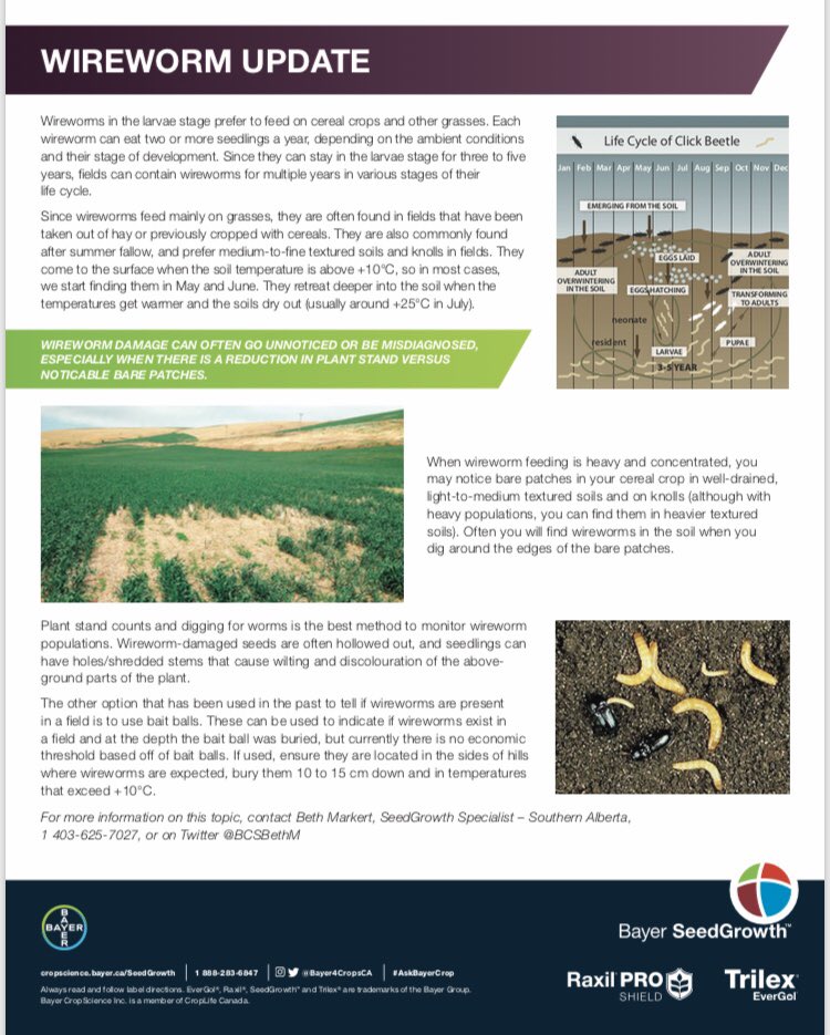 Wireworm tips and tricks! ‘Cause there’s a good chance you have them! 
#wireworms #seed2019 #RAXILPRO #STRESSSHIELD #whatyouneedtoknow <a href="/Bayer4CropsCA/">Crop Science Canada</a>