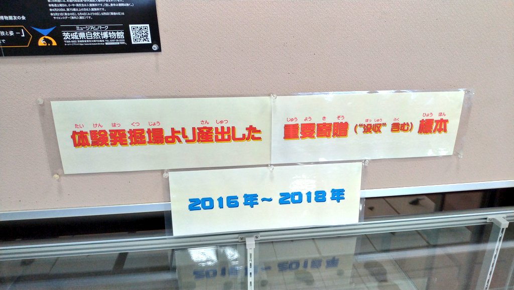 鈴木光宏 ここの本当の売りは 発掘体験 こちらの現場 写真は職員さんが終了後の清掃中 で実際の化石掘りが出来ます 到着遅くてできませんでしたが 実際に色んな化石が見つかってるようです いわき市アンモナイトセンター 鈴木光宏 ここの本当の売りは 発掘体験 こちらの現場 写真は職員さんが終了後の清掃中 で実際の化石掘りが出来ます 到着遅くてできませんでしたが 実際に色んな化石が見つかってるようです いわき市アンモナイトセンター