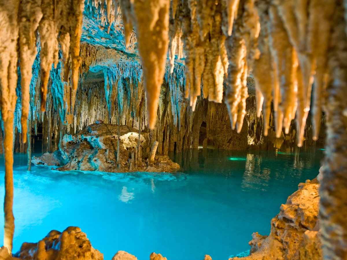 ExpressXpediti1's tweet photo. Holidays is synonymous with adventure, water activities on the beach, sports and much more. In Mexcio, Riviera Maya it will be easy to find, imagine swimming with dolphins, flying on zip lines over the lagoon or driving all-terrain vehicles through the Mayan jungle. #mexico https://t.co/kuGFoMiuNG