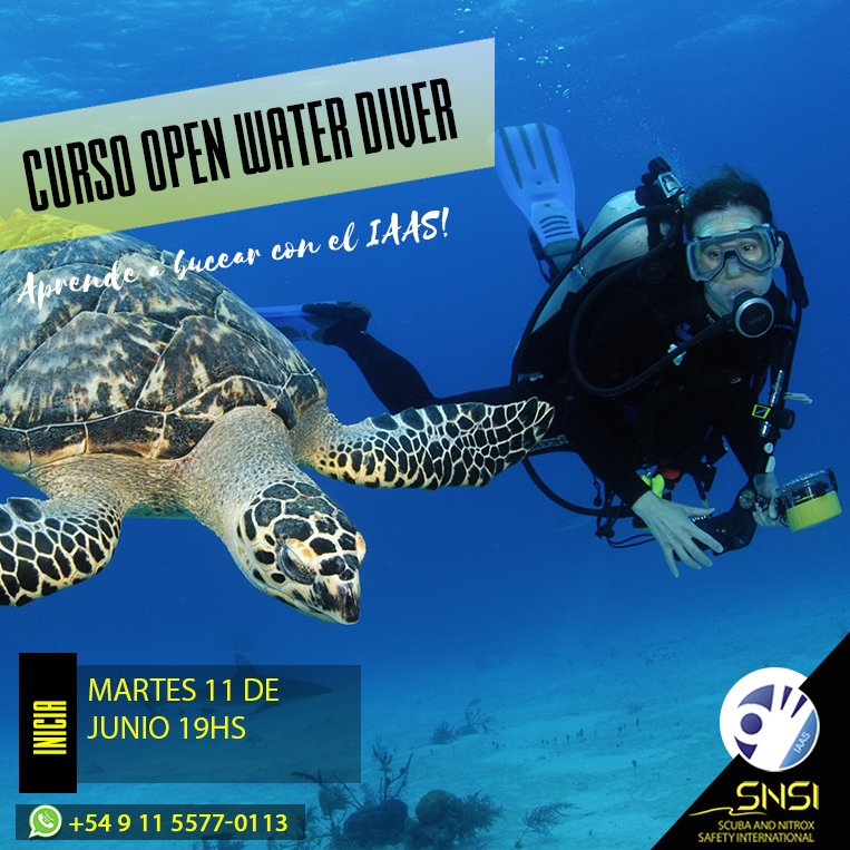 iaas2011's tweet photo. Nuevo curso para acercarte al MAR
APRENDE A BUCEAR EN EL IAAS
Curso Open Water Diver
Inicia: Martes 11 de Junio 19hs
Hacenos tus preguntas, sácate las dudas en:
☎️ 4371-9009
📱wa 15-5-577-0113
📧 Iaas@iaas.com.ar 
De lunes a viernes de 13 a 20 hs. #SNSI #IAAS #scubadiving #buceo https://t.co/QS9AWuRWq9
