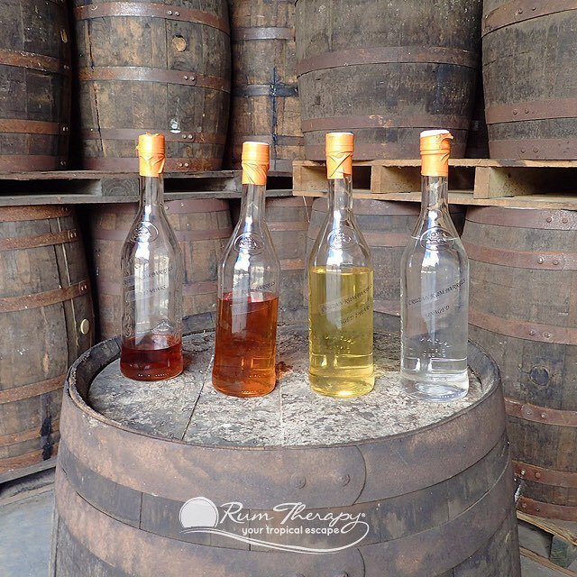 rumtherapy's tweet photo. Have you ever taken a rum distillery tour? Which one? Did you enjoy it?
.
.
.
#rum #rumdistillery #rumdistillerytour #rumtour #rum_therapy #rumtherapy #rumlicious #tropicaltravel #tropicalvacation #caribbeanadventure #rumhistory https://t.co/yknhKucNSH https://t.co/WB4WGORQ4z