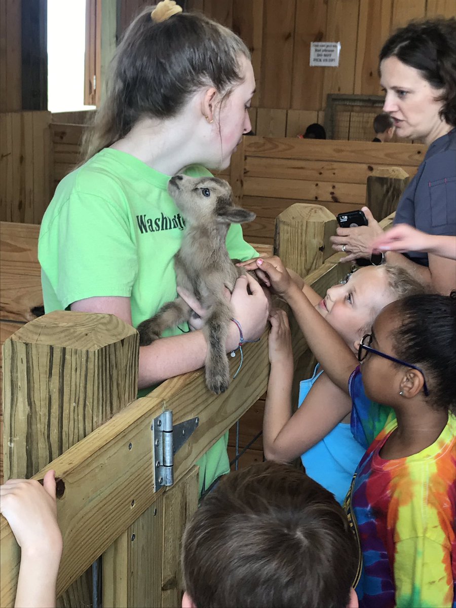 valmgreer's tweet photo. First graders had a blast @WashingtonFarms  today! Perfect weather and amazing strawberries👌🏼 @CFESmustangs https://t.co/e7BPoypXF8