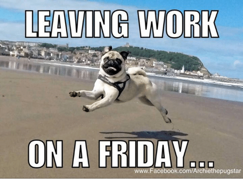 Happy Friday.  #TGIF #BringItOn It is that day again.  Interestingly it kind of looks like Hampton Beach in the background.  What do you think?  Follow me on Twitter and Instagram @dscottsplace <<<<  YEA!!!!