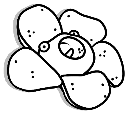_seasicksquid's tweet photo. Designing all the logos n stuff for @CorpseflowerDev today! We are getting close to our first game! #CAPES https://t.co/Ax705Ya2mV