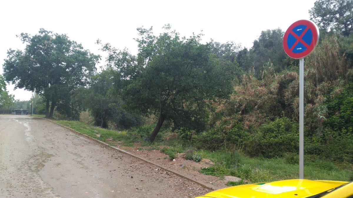 ADF 196 Sant Feliu de Llobregat tweet media