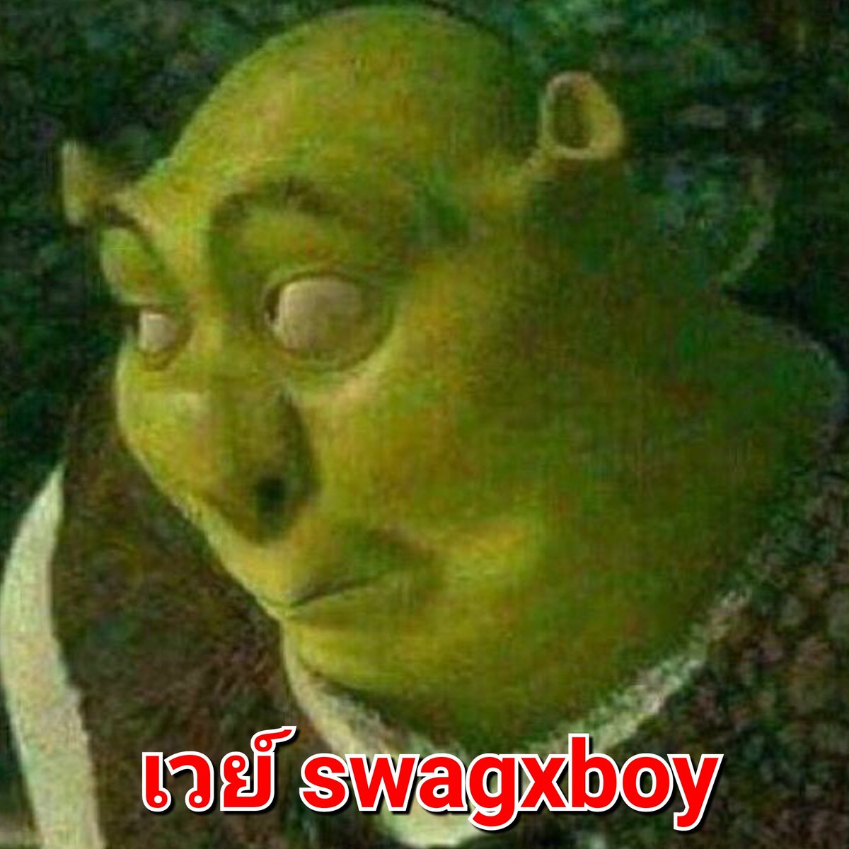 ผมเสือแบล็คธามเลิกเล่นบอทแล้วนะครับ tweet media