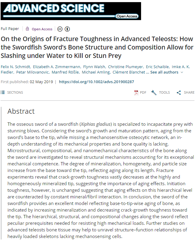AcademyEcts's tweet photo. Latest papers from members of ECTS Academy: "On the Origins of #Fracture Toughness in Advanced #Teleosts: How the Swordfish Sword’s #Bone Structure and Composition Allow for Slashing under Water to Kill or Stun Prey" by Björn Busse in Advanced Science. https://t.co/JHLc4Rdi3r https://t.co/ysX3arJwkC