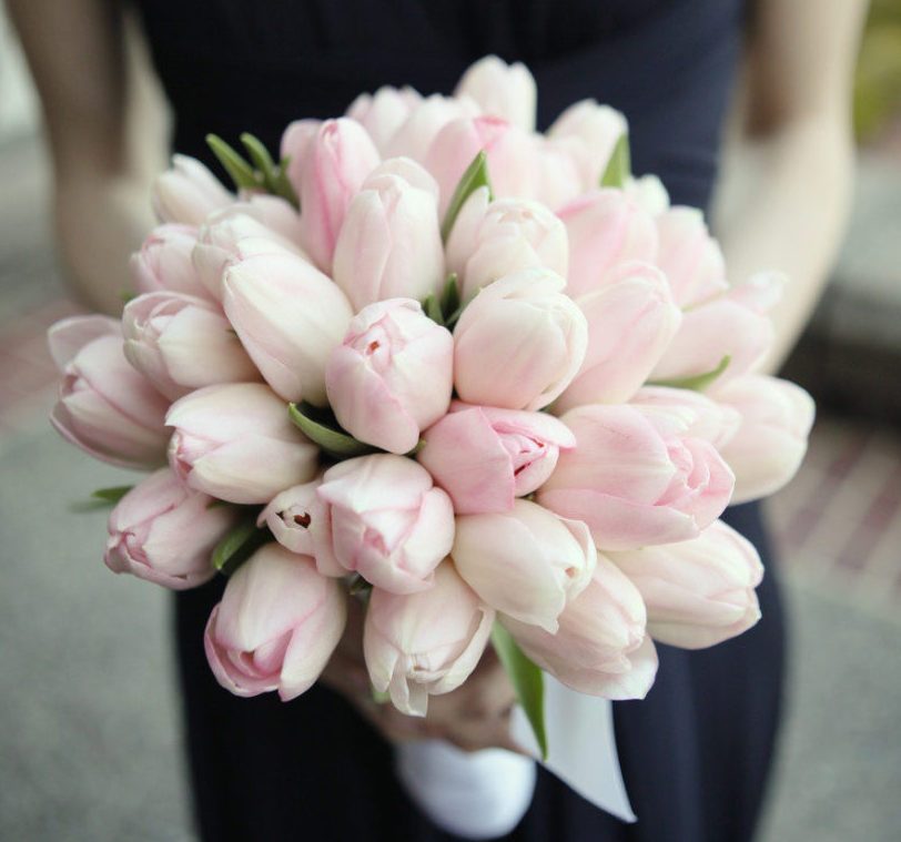 ddStylishEvents's tweet photo. A Guide to Loveliest Flowers for Spring and Summer Wedding Bouquets https://t.co/BvmOjEyk8q https://t.co/0kpD73uIbM