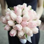 Photo by Dominique Douglas (@ddStylishEvents)