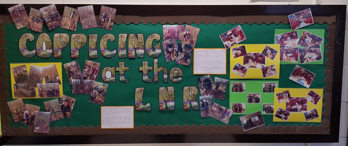 Wow look at Yr5's display about the #coppicing we did together earlier this year. @HenllysCIW <a href="/MissHciw/">MissBevanHCIW</a> #creativity <a href="/torfaencouncil/">Torfaen Council 🏴󠁧󠁢󠁷󠁬󠁳󠁿🇺🇦</a> @KWT_Torfaen
