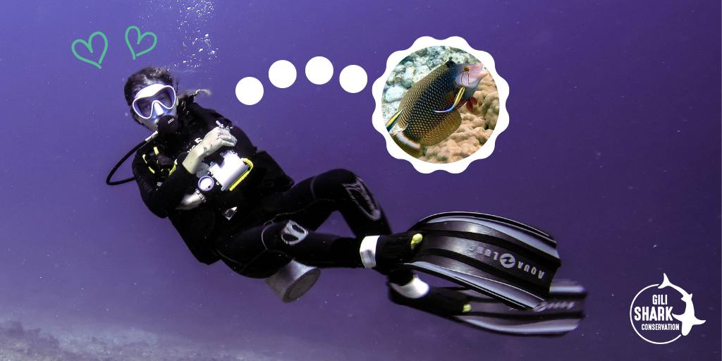 SharkGili's tweet photo. Meet Chloe and her cleaner fish ππ
Chloe is our Academic Intern and she LOVES cleaner fish. ππ
In fact, she's currently on a daily mission to film cleaner fish and do research on the species. π€
#cleanerfish #getclean #marinelife #coralreefs #academicintern https://t.co/8LQRIi3lmD