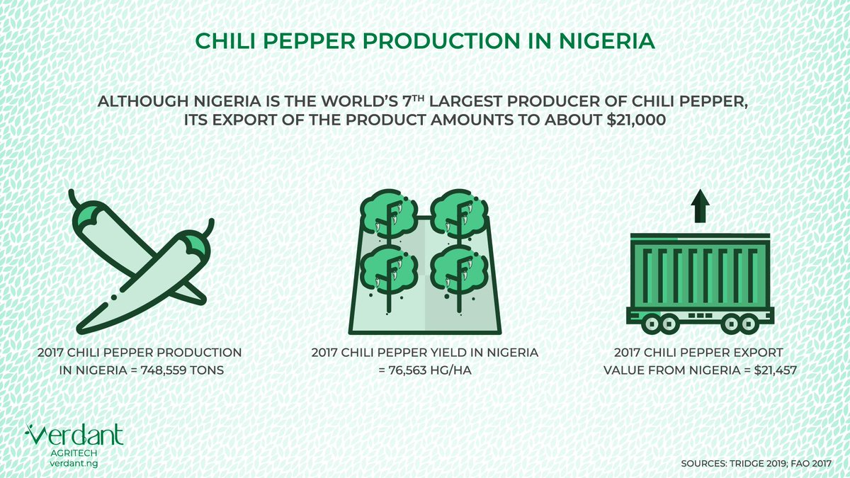 Although Nigeria is the world's 7th largest producer of chili pepper, its export of the product amounts to about $21,000. 🌶

#agriculture #agritech #foodsecurity