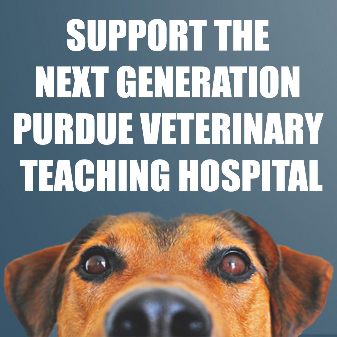 pucvm's tweet photo. Thank you to @MyFranciscan , @INagribiz &amp; the Cook Group for voicing their support for our new Veterinary Teaching Hospital project.   

Learn more at https://t.co/jAowPcyWMa 

#Grateful #SupportPVM #PVM60 #Purdue150 #TakeGiantLeaps @CookMedical @PurdueAg @PurdueExtension https://t.co/dKgSCIk5Cc