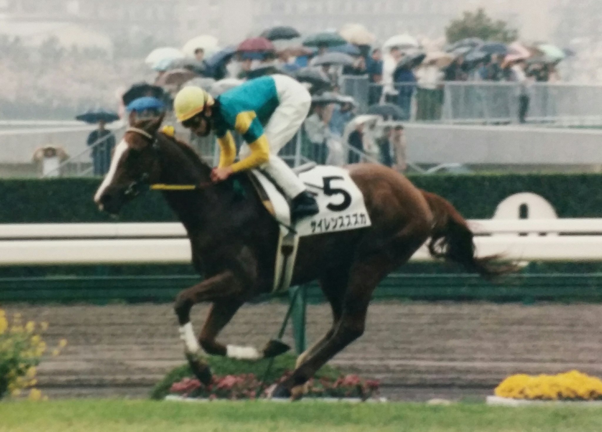 かずpart② 🐎😸 on X: 