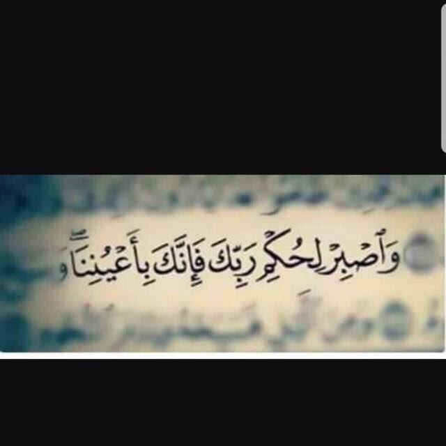 ZHابو مساعد tweet media