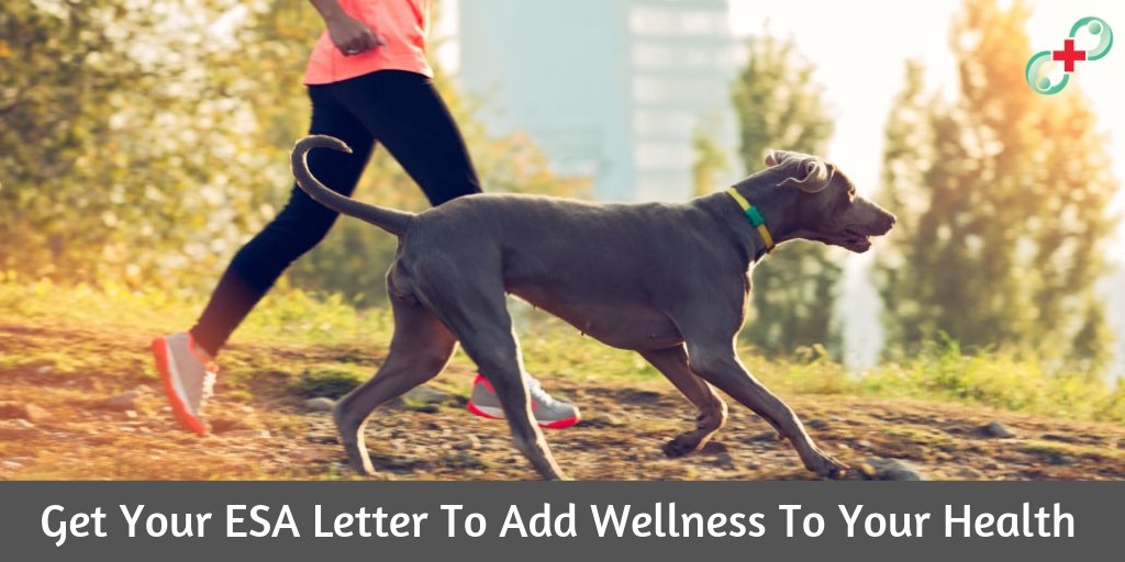 Petsupportdoct1's tweet photo. Get Your ESA Letter To Add Wellness To Your Health
get your #ESAletter to retain such moments in your life at all times. Here’s how you can benefit from being a pet owner.  
#EsaClinicOnline #EmotionalCompanionDog    #doglovers  #animal #doctor #pets https://t.co/duMhcA7m4w https://t.co/Z6zVolfmh8