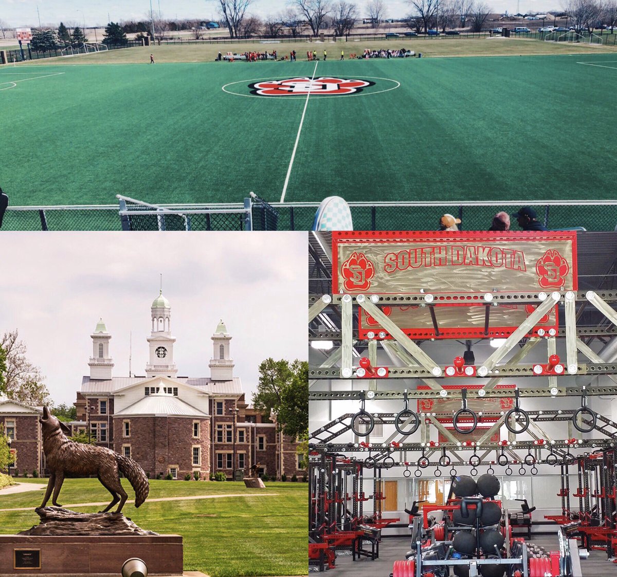 COMMITTED❗️❕🐺