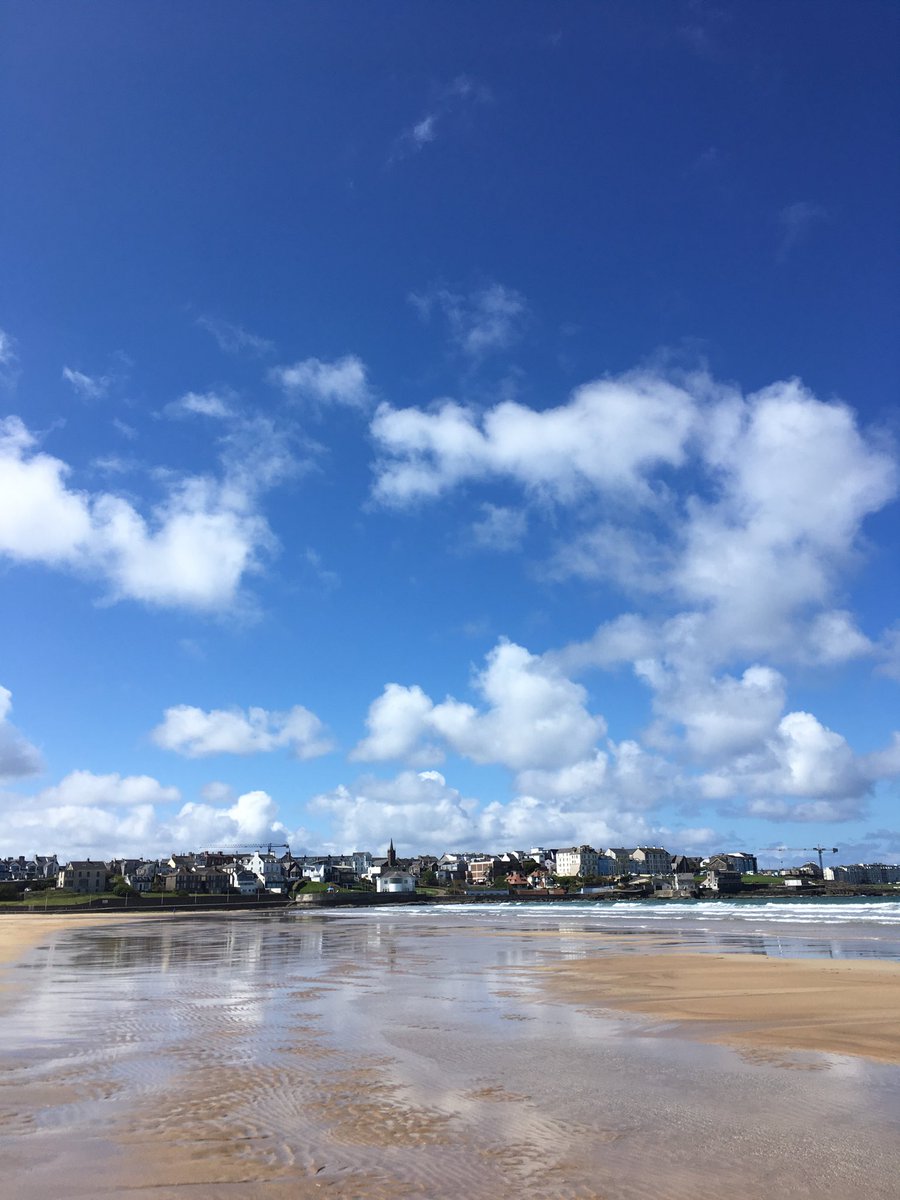 Martin McNeely tweet media