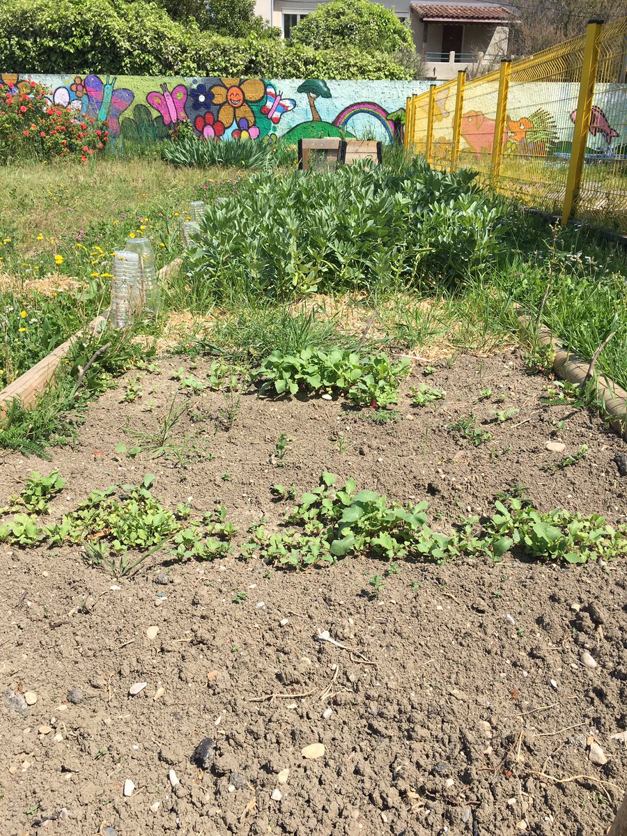 EcGrangeneuve's tweet photo. Notre jardin https://t.co/bWtWuxIOyM