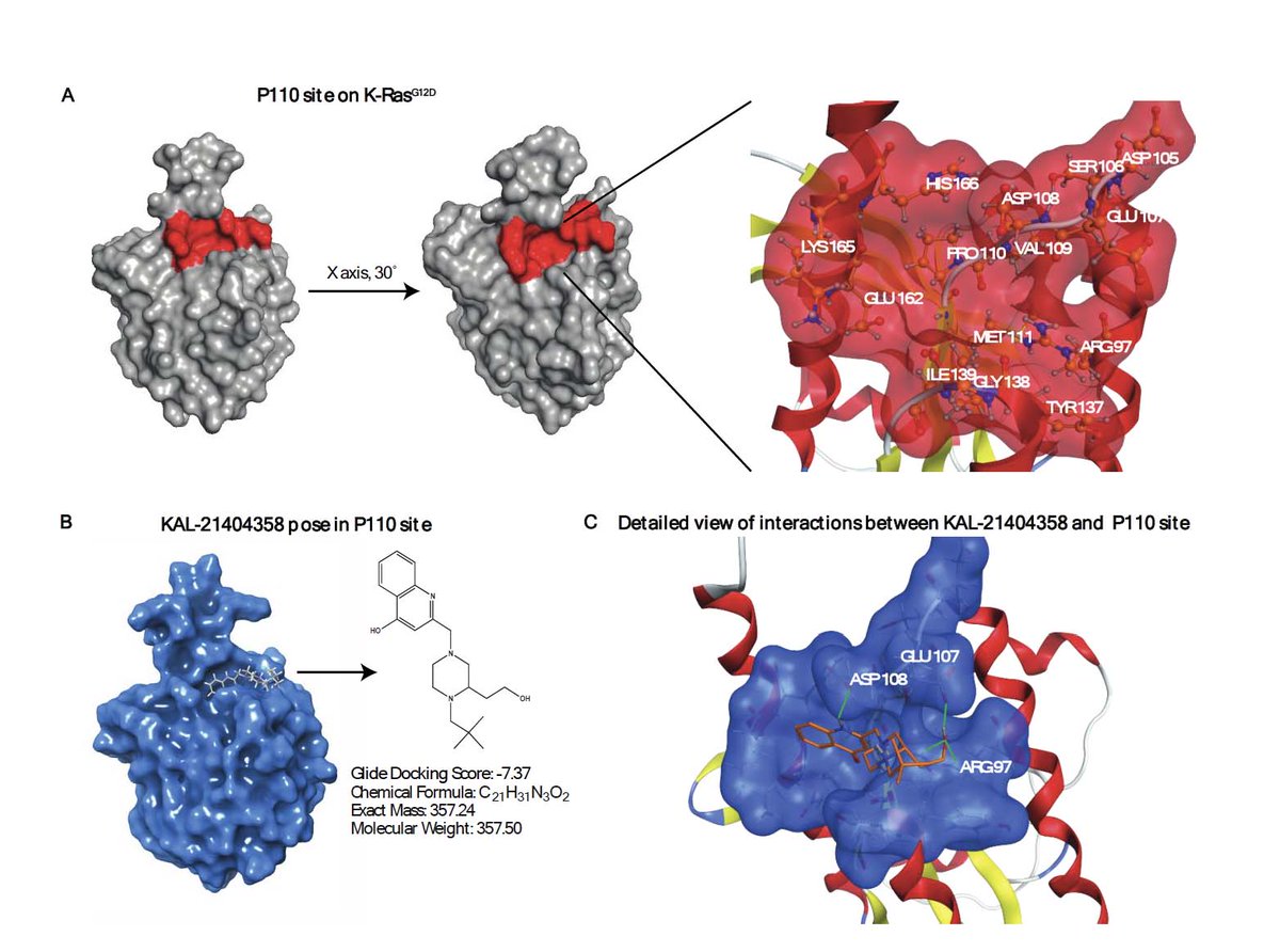 bstockwell's tweet image. Here is our new paper on a small molecule allosteric binding site on KRAS—9 years of work. Congrats to the team! #KRAS @ACSpressroom @BiochemistryACS bit.ly/2Y0jMOg