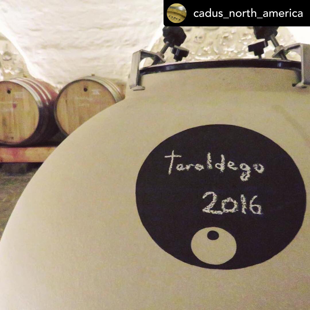 PetraeaPlus's tweet photo. So 🔥🔥🔥! Thrilled to announce @cadus_north_america ‘s partnership with Clayver ceramic in N America! Contact me for more info. 
#wine #winemaking #cadus #clayver #ceramic #coolclimate #coldclimate #allclimate #texture #nextgen #unoaked https://t.co/Y0y0V5rF4L