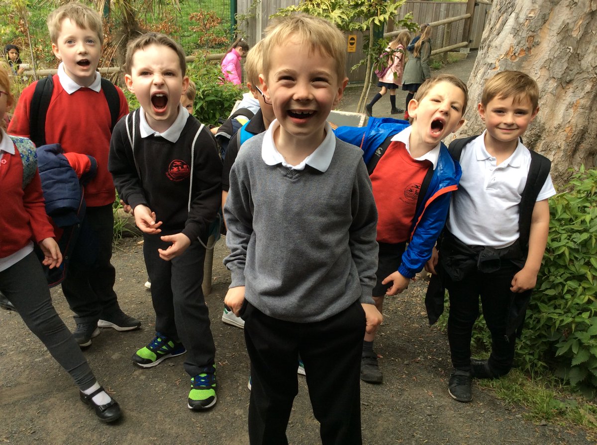 dunbarprimaryp2's tweet photo. P2e Zoo https://t.co/OKmoZoSyPz