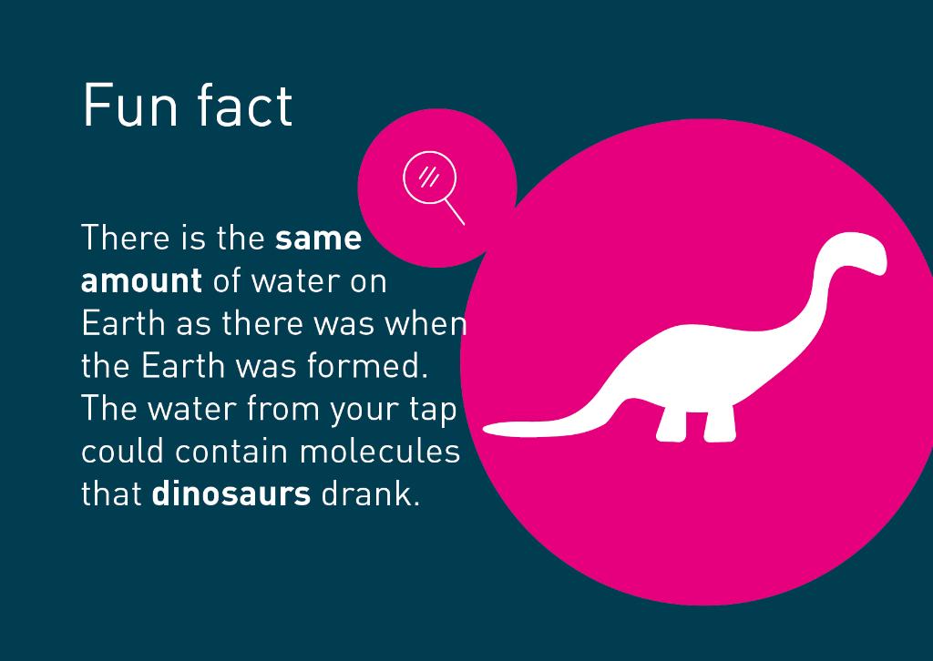 stwater's tweet photo. #FridayFact The magic of the water cycle! 💧 https://t.co/kwMc5tcVdR