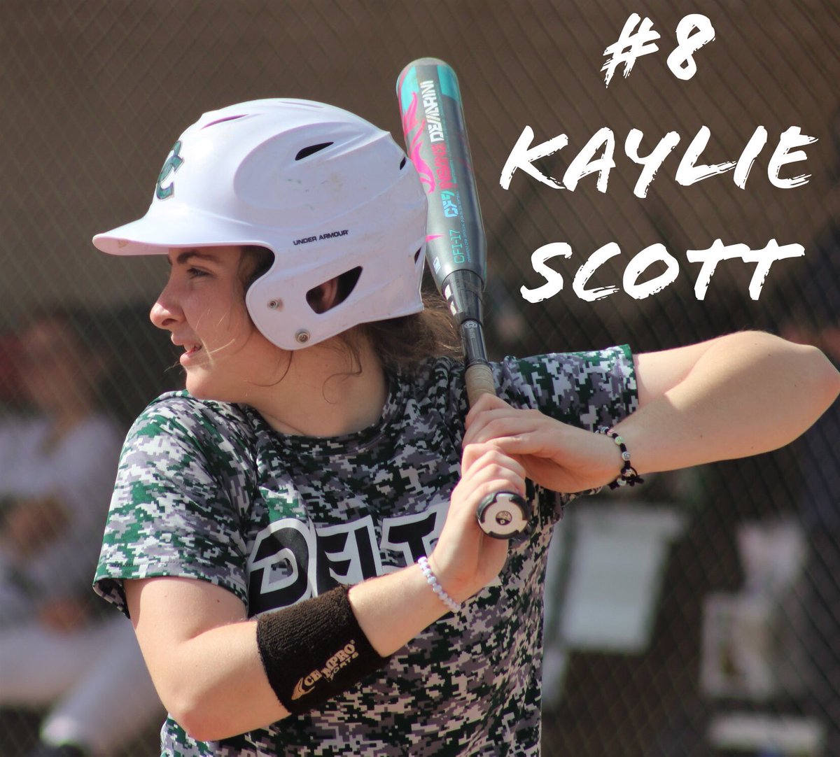 DC Softball tweet media