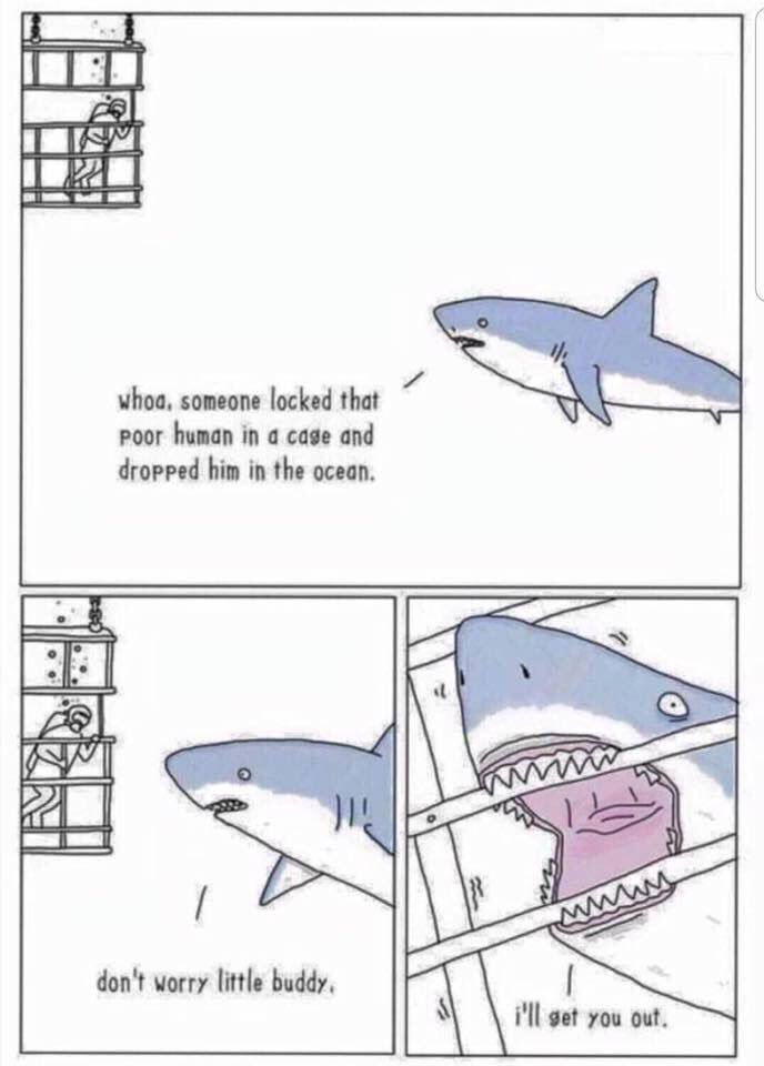 I knew they were friendly!