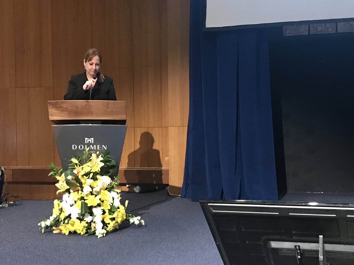 Falls prevention intervention in dementia. Ms Karyn Darmanin Kissaun, Senior Physiotherapist, Department for Active Ageing / St Vincent de Paul Long Term Facility