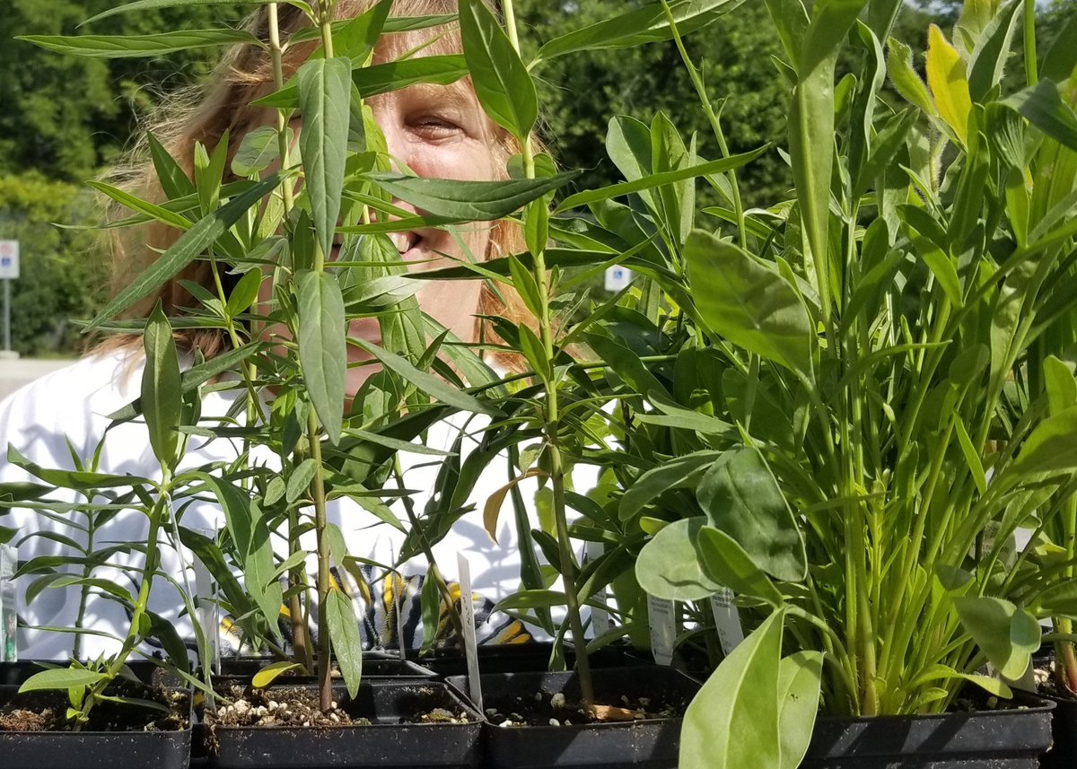 FREE plant kits for GTA schools! If you're looking for a kick start to your school garden this spring, Monarch Nation has a limited number of kits to give away this spring, helping to create much-needed habitat for #monarchbutterflies. Learn more: monarchnation.ca/plant-kits/