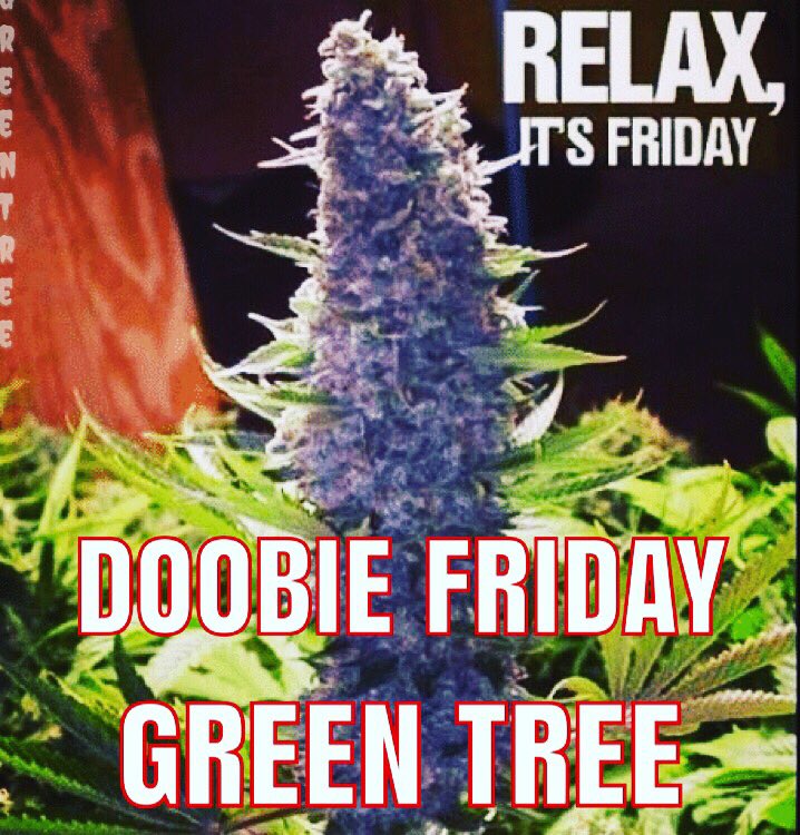 Green_Tree_Fam's tweet photo. #Friday #GreenTree #Colorado #THC #Weed #Joints #It’sFridayBitches #GreenTreeNorthglenn #GreenTreeBerthoud #GreenTreeLongmont #GreenTreeBoulder https://t.co/n58hmzbWII