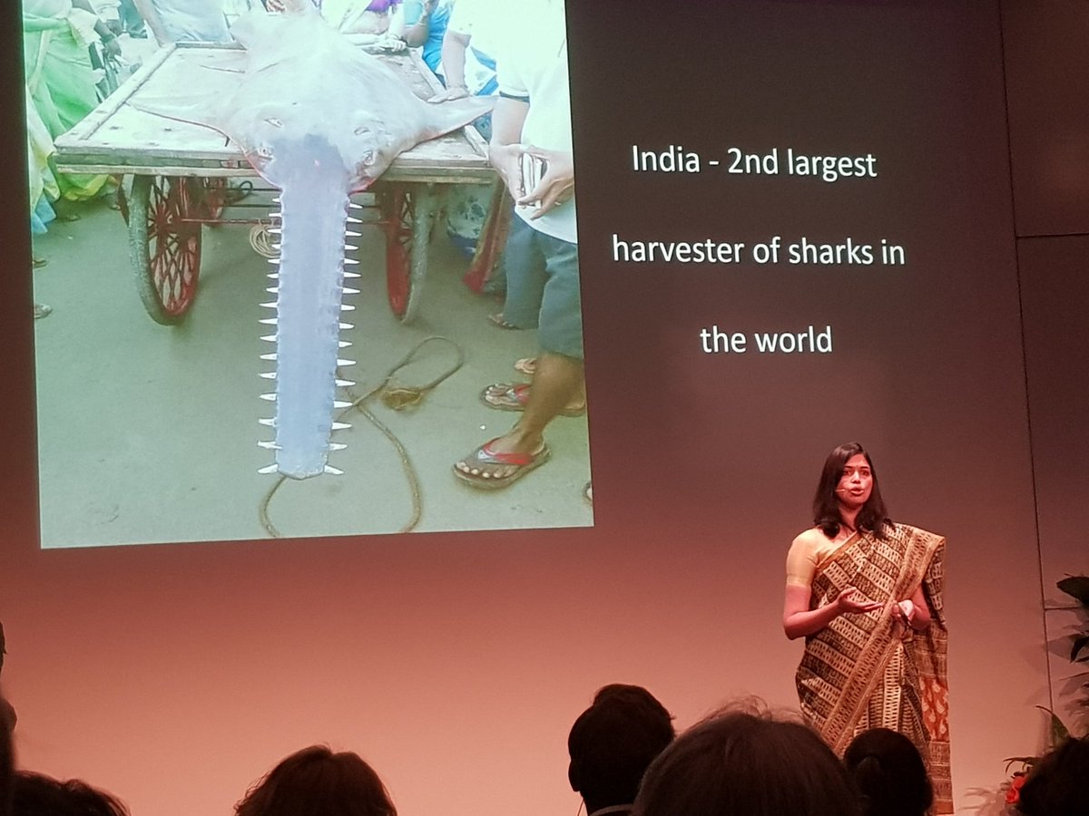 <a href="/Futurefornature/">Future For Nature</a> 2019 award winner divya karnad today at her acceptance speech in <a href="/burgerszoo/">Burgers' Zoo</a> <a href="/FFNAcademy/">FFN Academy</a> #ConservationOptimism
