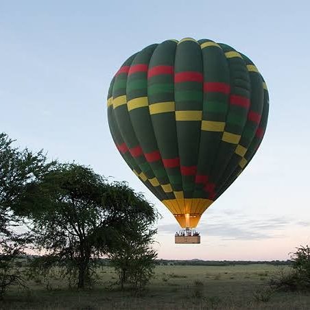 There is No a better picture to describe  friday feelings..Have a great Weekend EveryOne!! #hotairballoonsafariserengeti#adventuresaloft#serengeti#tarangire#migration#greatmigrationinserengeti#lion#simba#marariver#masaimara#hotairballoon#champagneonthesky#tarangireballooncamp