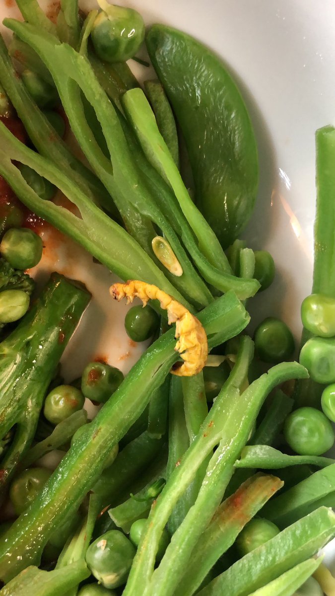 Hello <a href="/sainsburys/">Sainsbury's</a> Just had some of your lovely microwaveable mixed green veg. However, I seem to have found a little friend in my bag. I thought at first it was a leaf, however, to my dismay it was a caterpillar. I would love a refund if at all possible!