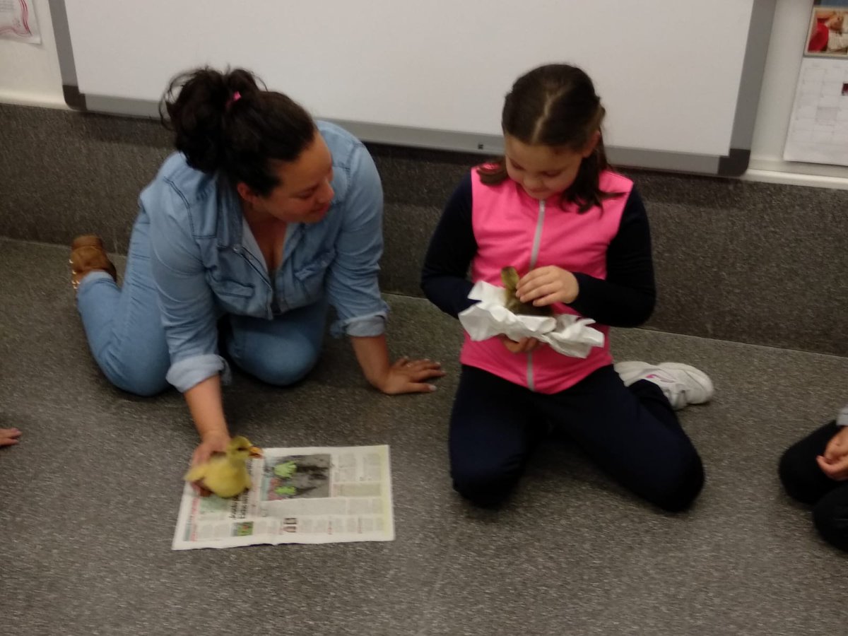 CEIPMMA's tweet photo. Esta semana tivemos moitas visitas de familias que enriquecen as nosas aprendizaxes. https://t.co/60OrcNfxwC