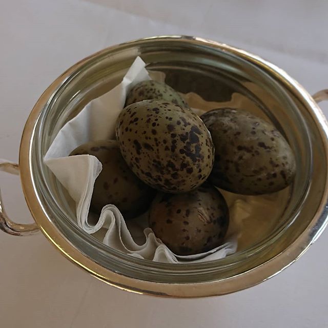 Two weeks only Gull Eggs have landed #sweetingsrestaurant  #gulleggs <a href="/SweetingsLondon/">Sweetings</a> bit.ly/2GZKpNu