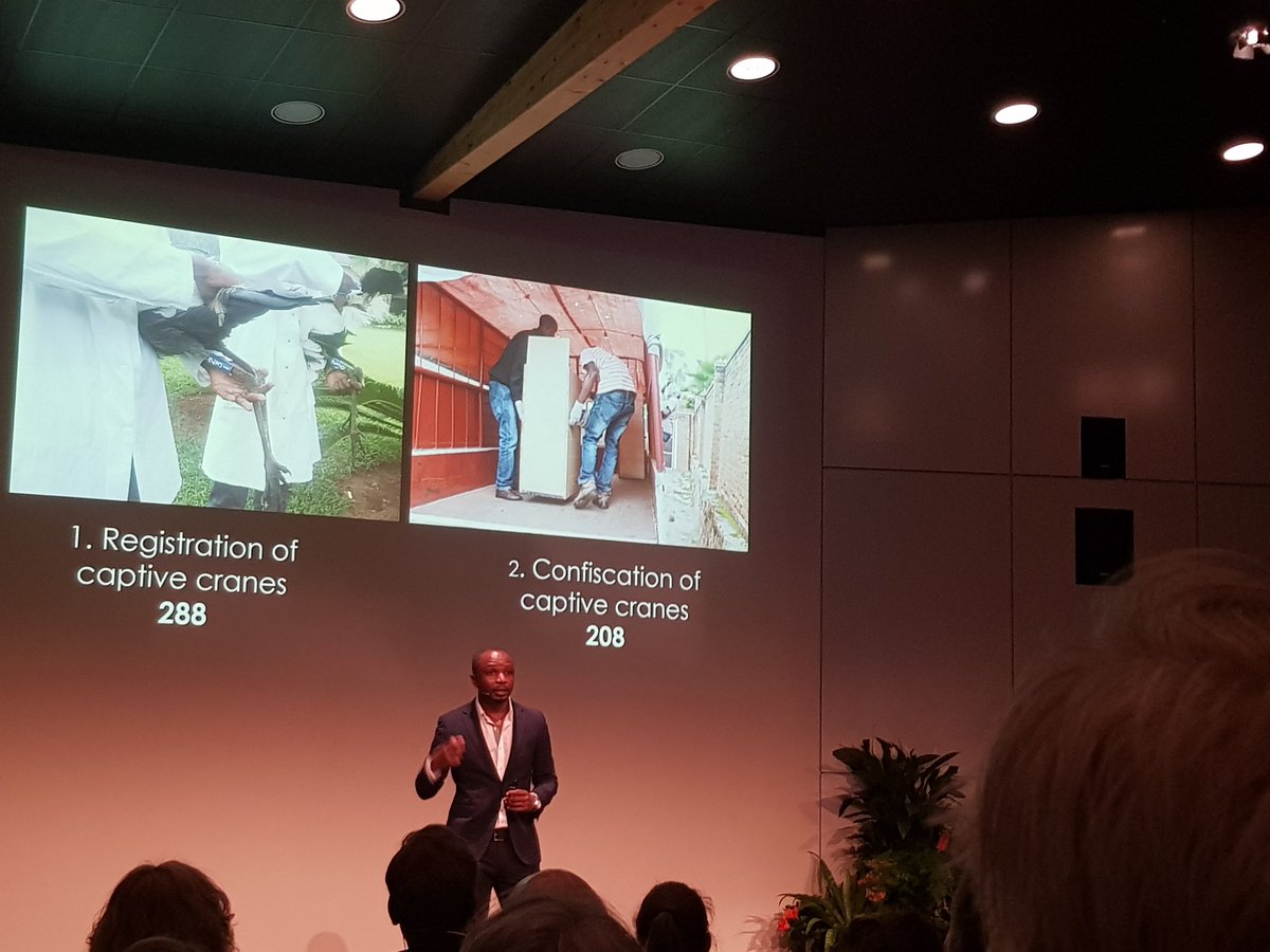 what a powerful acceptance speech by olivier nsengimana <a href="/Futurefornature/">Future For Nature</a>  2019 with <a href="/FFNAcademy/">FFN Academy</a>  #ConservationOptimism