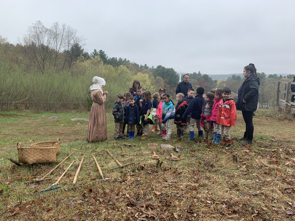 #BetterWorldDay Planting fungus resistant American Chestnut trees for Better World Day #eleducation