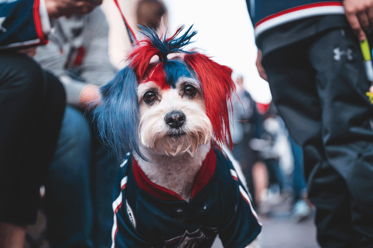 "Coachella?? Never heard of it..."

#StanleyCup