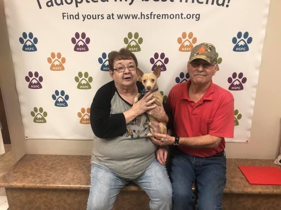 HumaneFremont's tweet photo. Coco caught the hearts of a forever family. Best wishes on a new life!
#HSFC
#SaveUm https://t.co/JgfG35bc0P