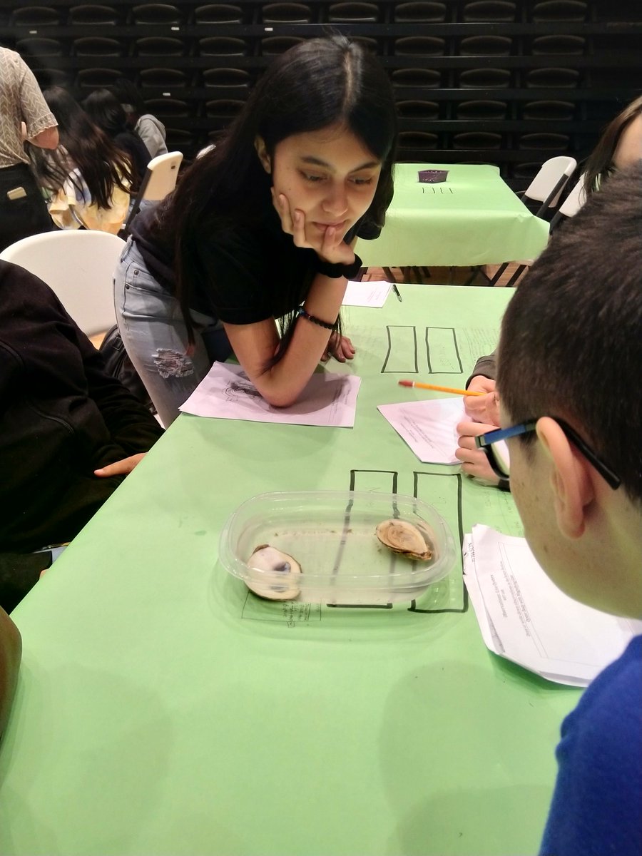 jyishvan's tweet photo. Deep Creek 8th graders at an Oyster Encounter lab at the SciTech lab. @tuSTEMcenter https://t.co/rAgf4pIlLM
