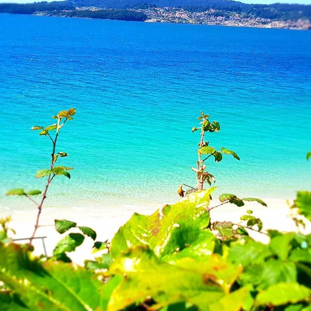 yesimagen's tweet photo. https://t.co/FBE2J8Ugc3 Cumpliendo unos de mis sueños, vivir junto al mar.😍🏖☀️🌬
#yestip: No hay que renunciar a nuestros sueños, hay que superar las barreras que nos impiden cumplirlos. 
#galicia #pontevedra #galiciacalidade #galifornia #conocer_galicia #descubregalicia  #i… https://t.co/gKkLkQ6A3P