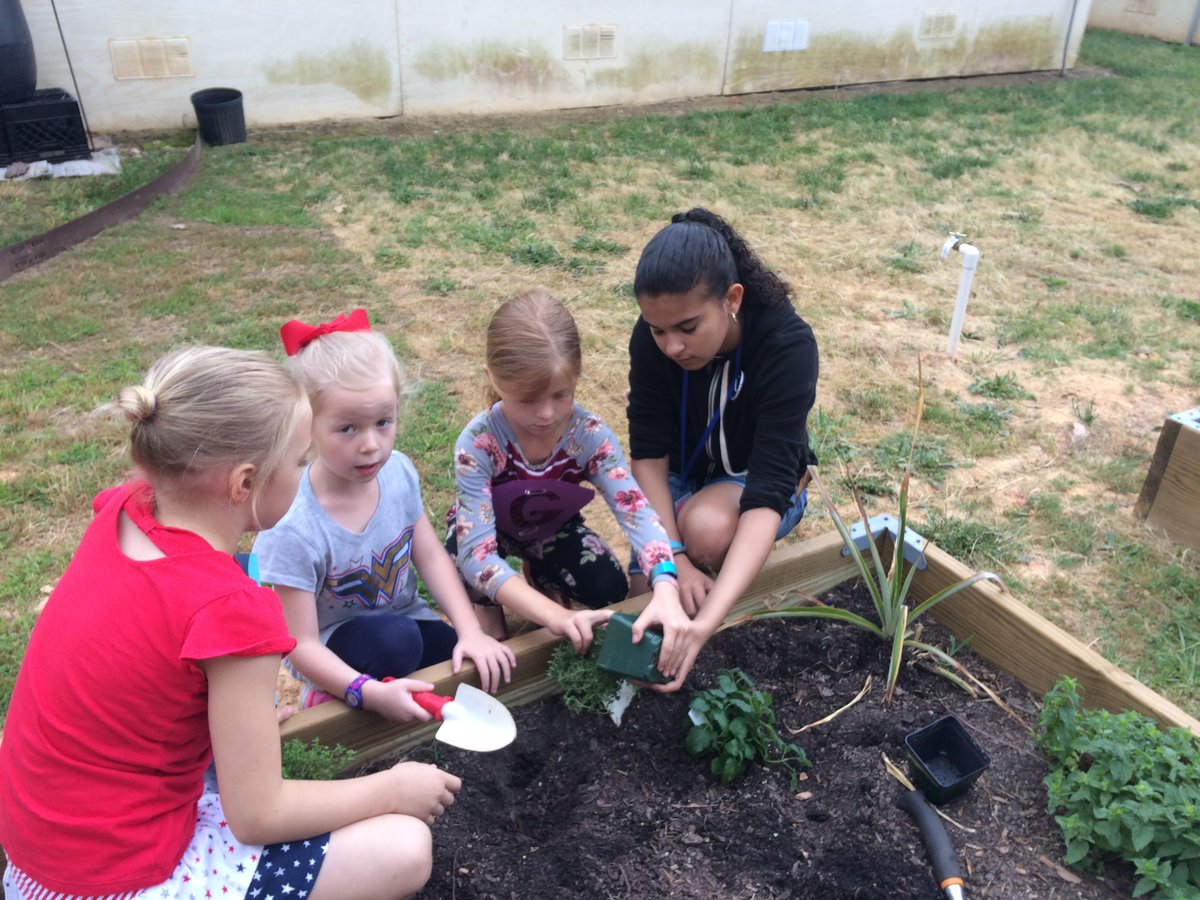 MGMSiCivics's tweet photo. MGMS &amp; MGES partner together for #BetterWorldDay #Lex1BetterWorld @mgmgators https://t.co/9dxbABDMlM