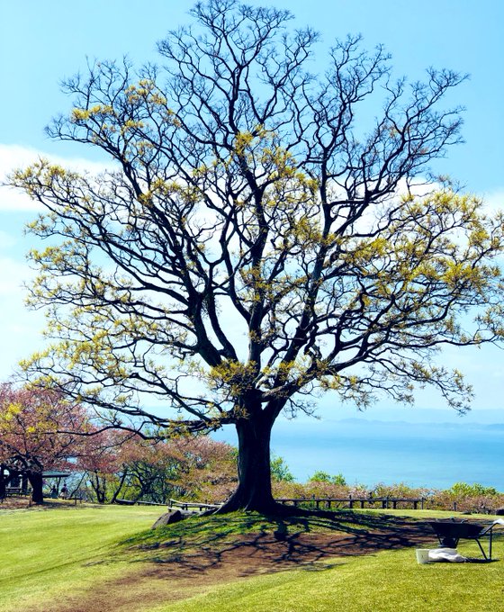 Twitterのコスプレ画像12