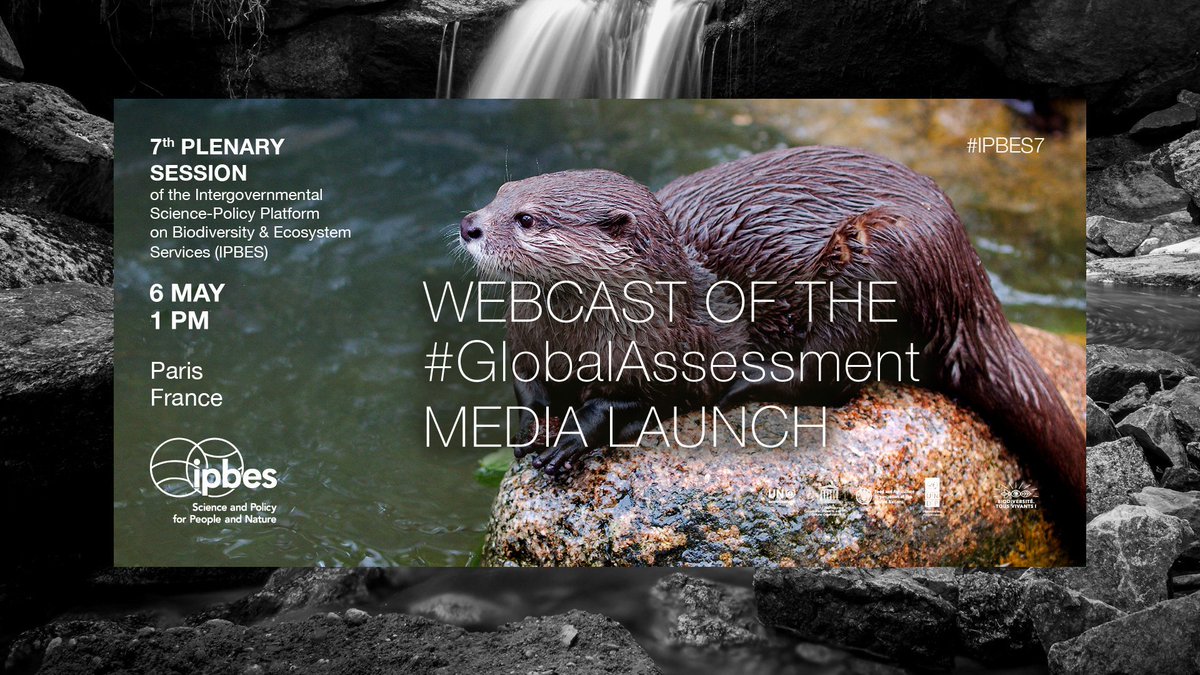 At 1pm (CET) on Monday 6 May, the key findings of the <a href="/IPBES/">ipbes</a> #GlobalAssessment - the definitive global synthesis of the state of #biodiversity, ecosystems and #nature's contributions to people - will be launched via live webcast. 

📹: Watch here: bit.ly/IPBESWebcast #IPBES7
