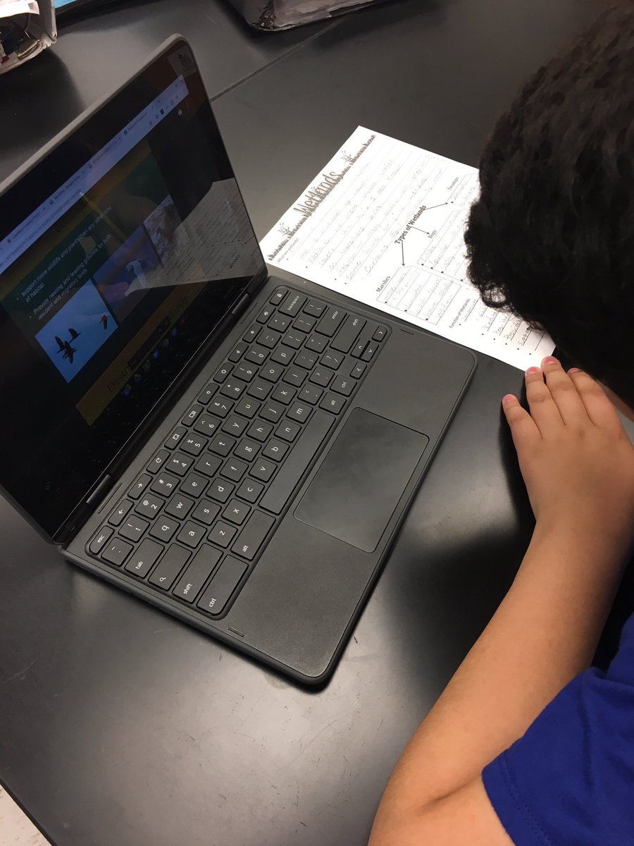 6th grade -  students become the master of their topic and then teach each other! #Wetlands #SwampLife #protect #shms19 #Lcps19