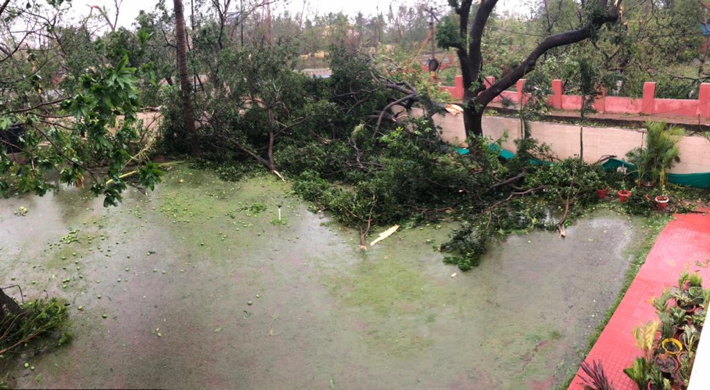 AMITABHTHAKUR21's tweet image. My house at Bhubaneswar while I am 200 kms away on duty....water inside home, glass shattered and no vegetation left #FANI #Cyclone #Cyclonefaniupdate #CycloneFani