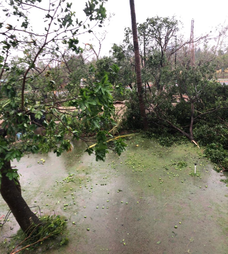 AMITABHTHAKUR21's tweet image. My house at Bhubaneswar while I am 200 kms away on duty....water inside home, glass shattered and no vegetation left #FANI #Cyclone #Cyclonefaniupdate #CycloneFani